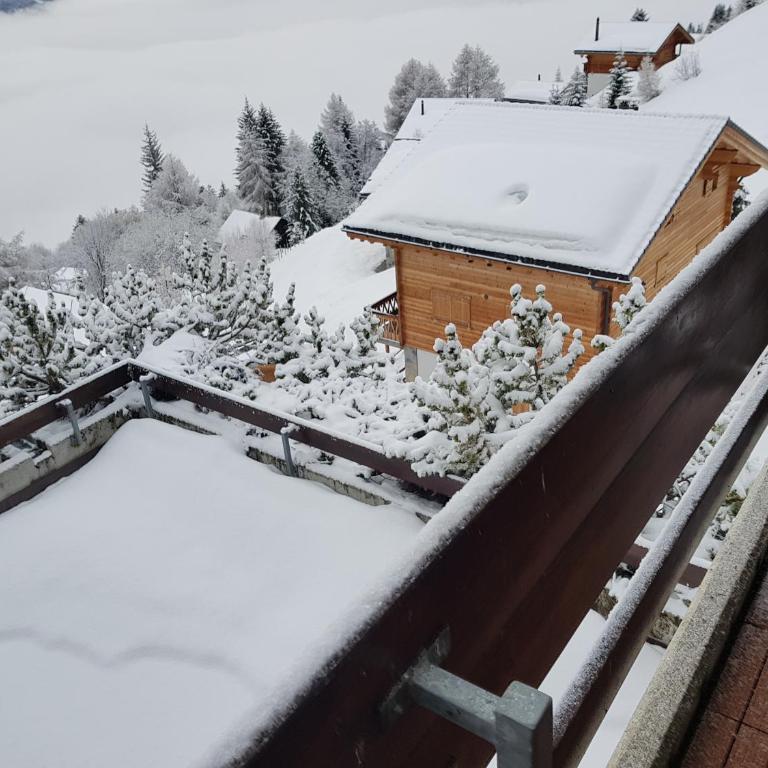 Les Collons1800- Bel appart 2pièces-4 pers-piscine-sauna-parking int-Wifi gratuit - Apartment mit 1 Schlafzimmer - 20
