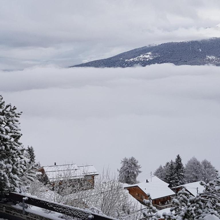 Les Collons1800- Bel appart 2pièces-4 pers-piscine-sauna-parking int-Wifi gratuit - Apartment mit 1 Schlafzimmer - 21