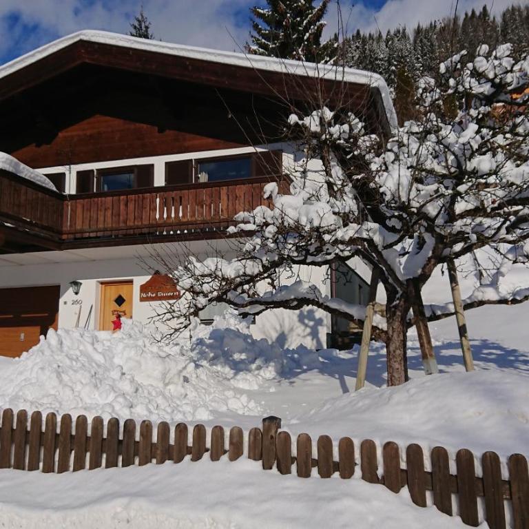Ferienhaus Hohe Tauern in Piesendorf - Apartment mit Balkon - 22