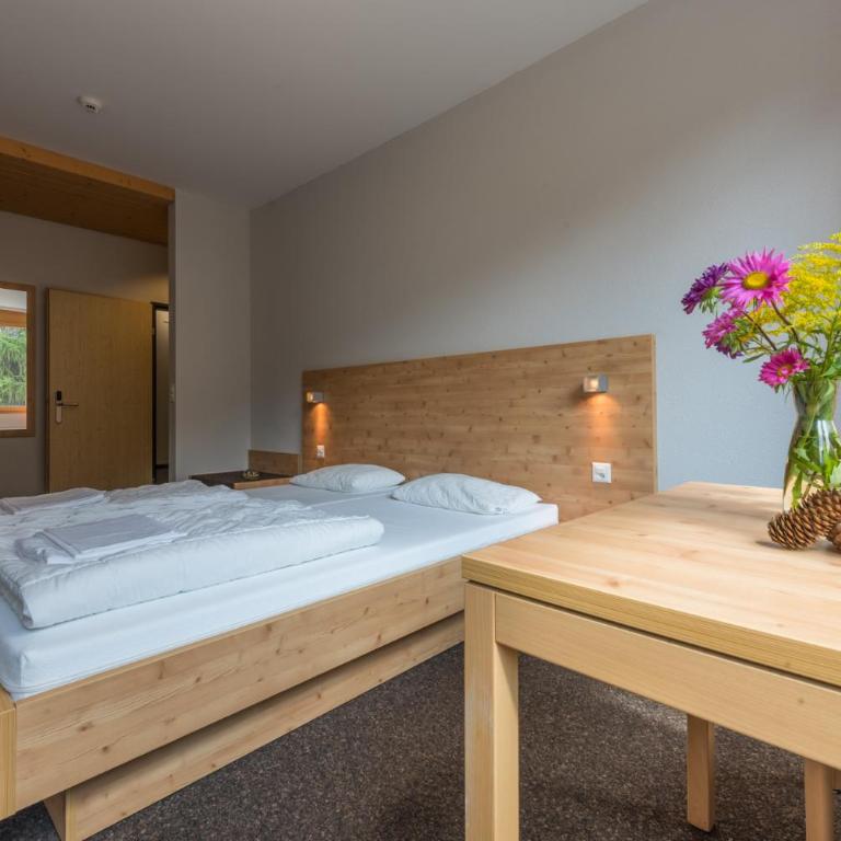 Sport Resort Fiesch - Fiescher Hostel - Habitación Doble Económica con baño compartido - 3
