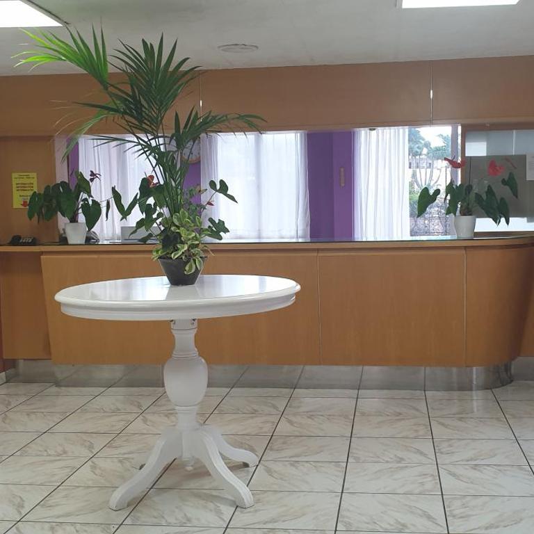 Estudio Neya - Apartamento de 1 dormitorio - 42