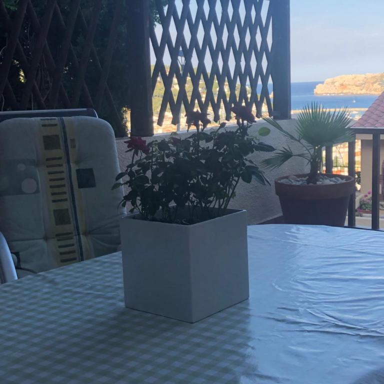 Mediterrania 98 - Casa Vacanze - 10