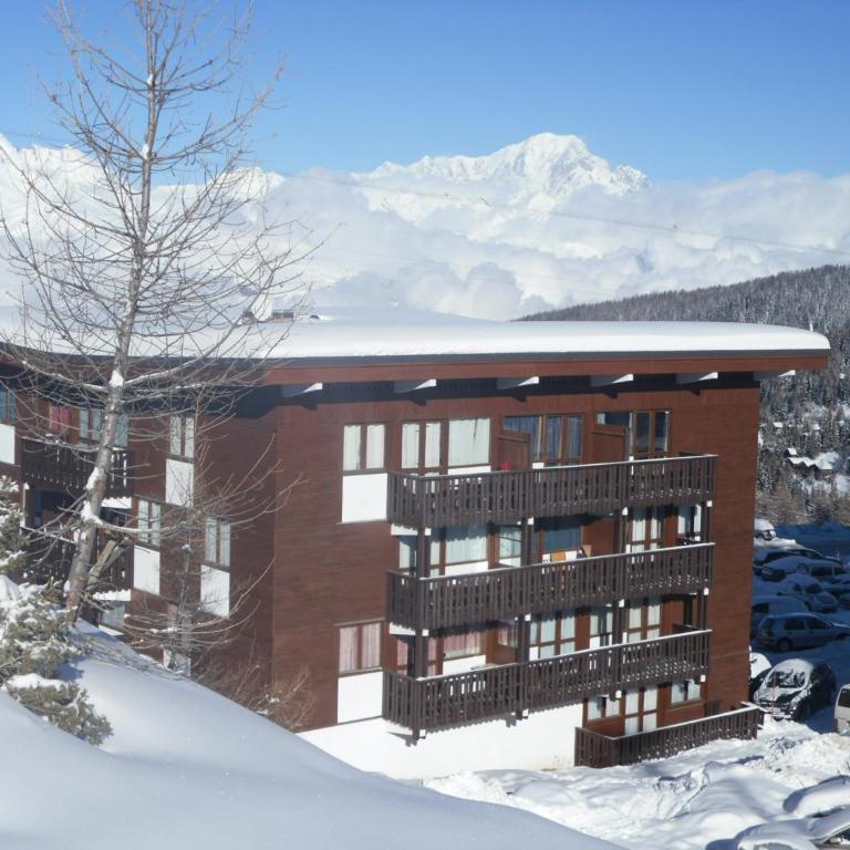 CERRO TORRE PLAGNE Du Samedi Au Samedi - Appartamento con 2 Camere da Letto - 4