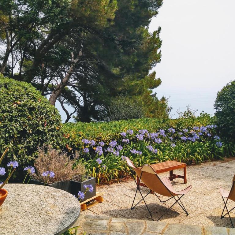 Torre Alpicella - Essenza di Riviera Holiday Home - Casa Vacanze - 5