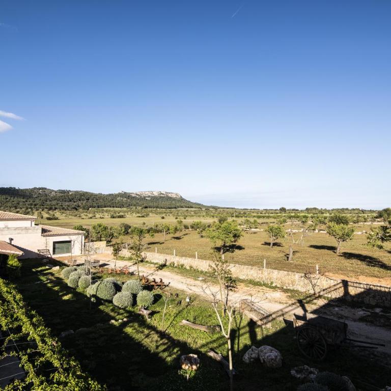 Aumallia Hotel & Spa - Studio avec Terrasse - 9