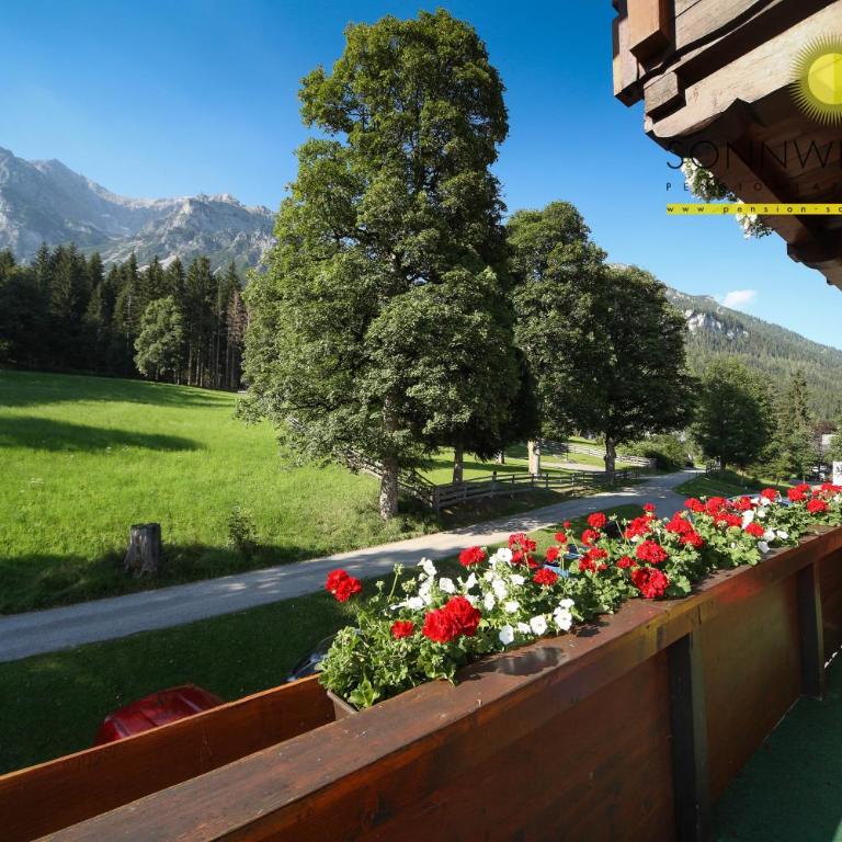 Pension Sonnwendhof - Appartement avec Vue sur la Montagne - 17