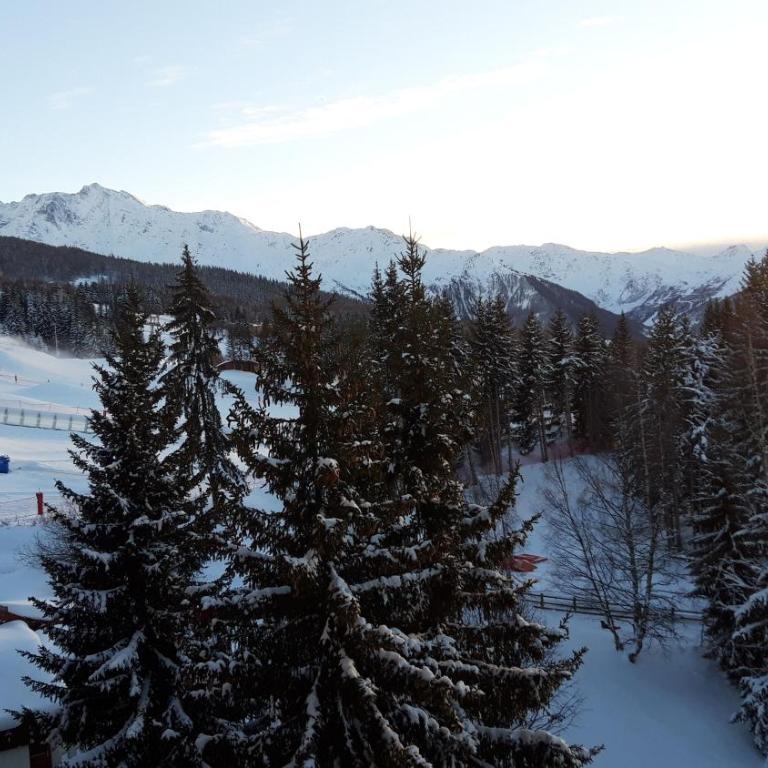 Bourg St Maurice les Arcs 1800 Charvet Belles Challes vue Panoramique, nature, bien être, paisible, espace - Apartment mit 2 Schlafzimmern - 16