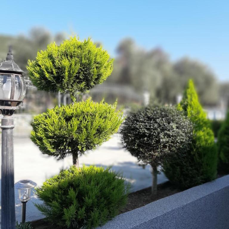 Apartments Pepdjonovic - Apartman sa 2 Spavaće Sobe - 82