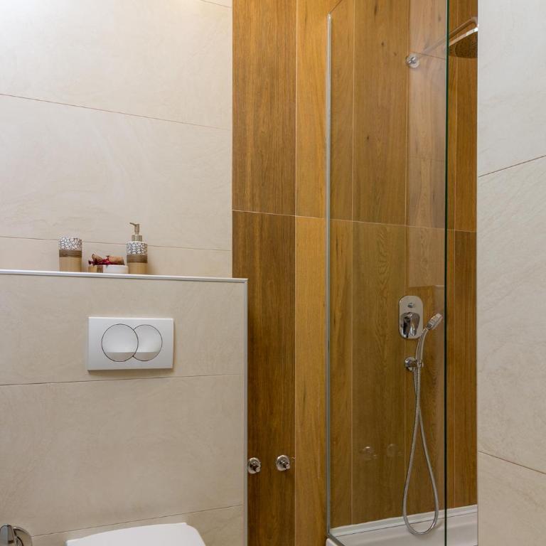 O..C.. Lux Apartments - Deluks Studio sa Bračnim Krevetom (King-size) - 6