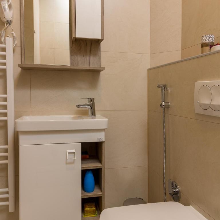O..C.. Lux Apartments - Deluks Studio sa Bračnim Krevetom (King-size) - 5