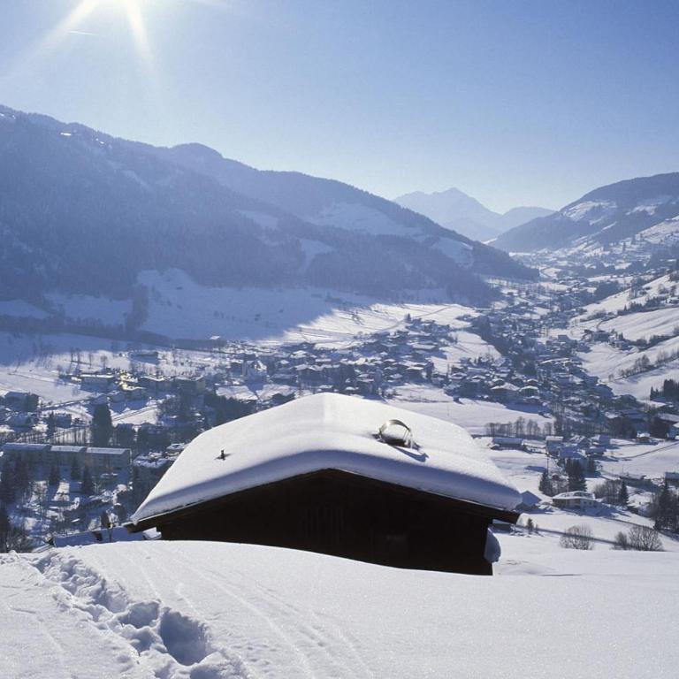 Resort Tirol am Wildenbach - Apartment mit 2 Schlafzimmern - 52