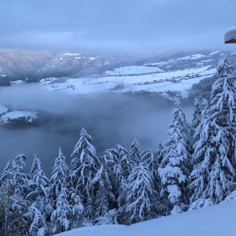 Forchnerhof Panorama - App 3 Täler Blick - Apartment mit 2 Schlafzimmern - 8