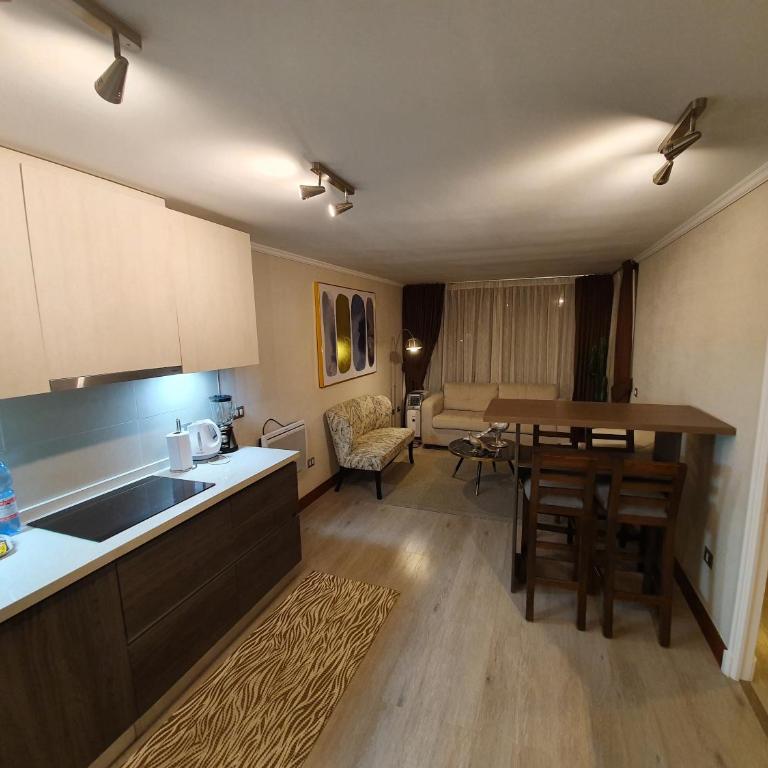 Mojens Suites Santiago - Apartamento de 1 dormitorio - 5