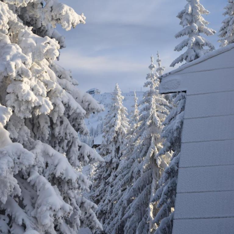 Vila Plan centar Kopaonik - One-Bedroom Apartment - 21