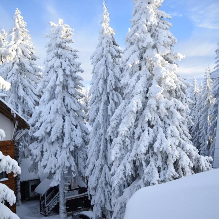 Vila Plan centar Kopaonik - One-Bedroom Apartment - 22