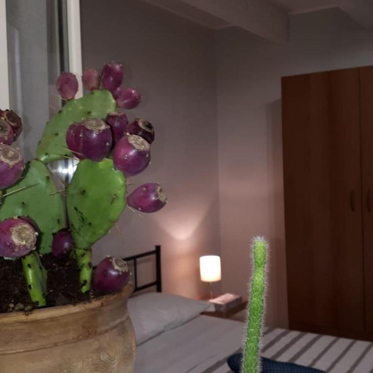 Casa Vacanze: Le Tre Stelle - Appartamento con 3 Camere da Letto - 11