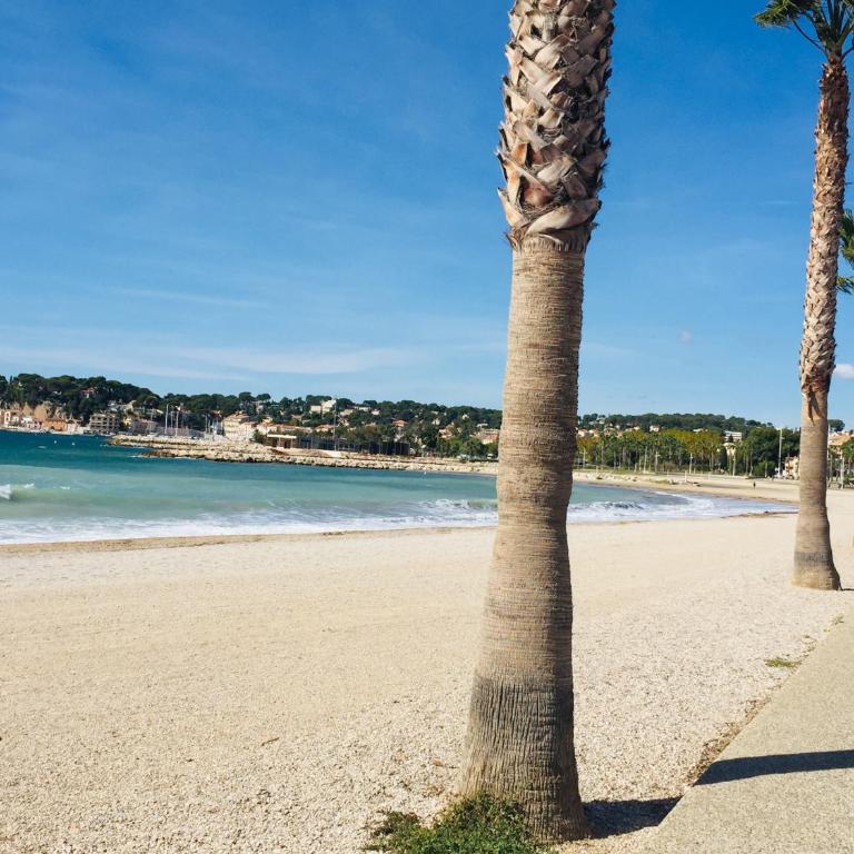 Superbe T1 sur le port PARKING GRATUIT - Appartement 1 Chambre - 39