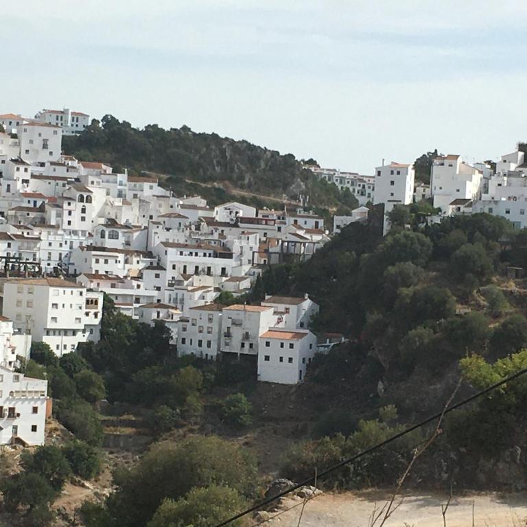 Casares Vacations - Two-Bedroom Apartment - 43