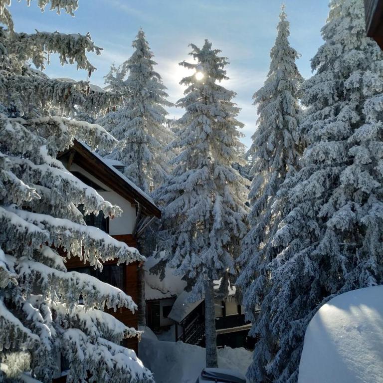 Vila Plan centar Kopaonik - One-Bedroom Apartment - 23