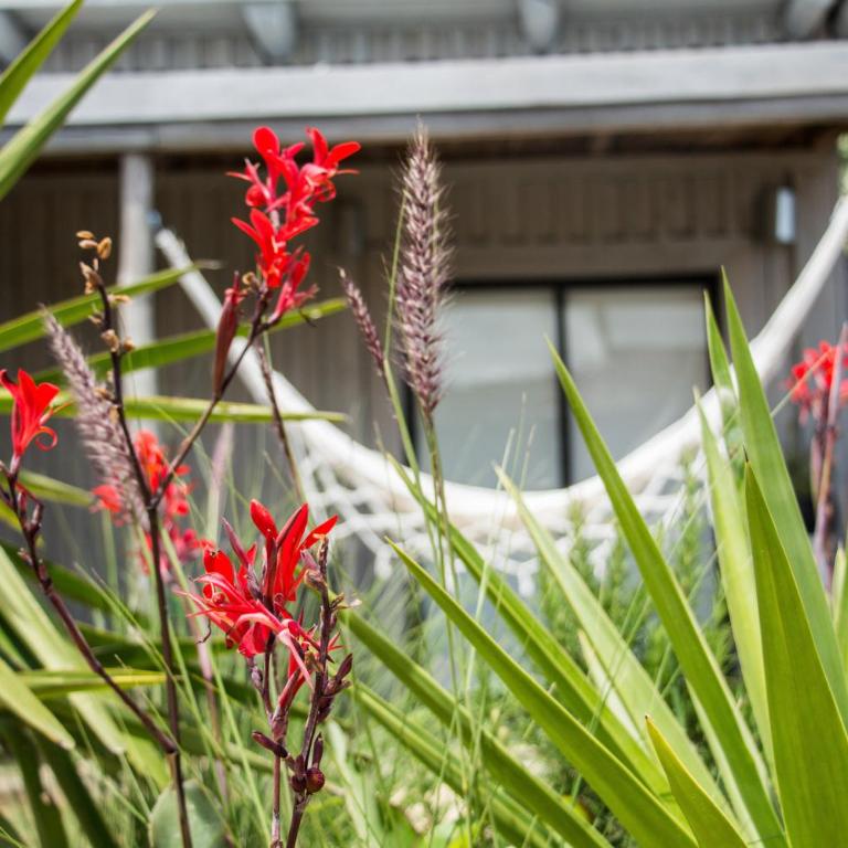 Cabin studio Cerca del mar - José Ignacio - Apartment - 11