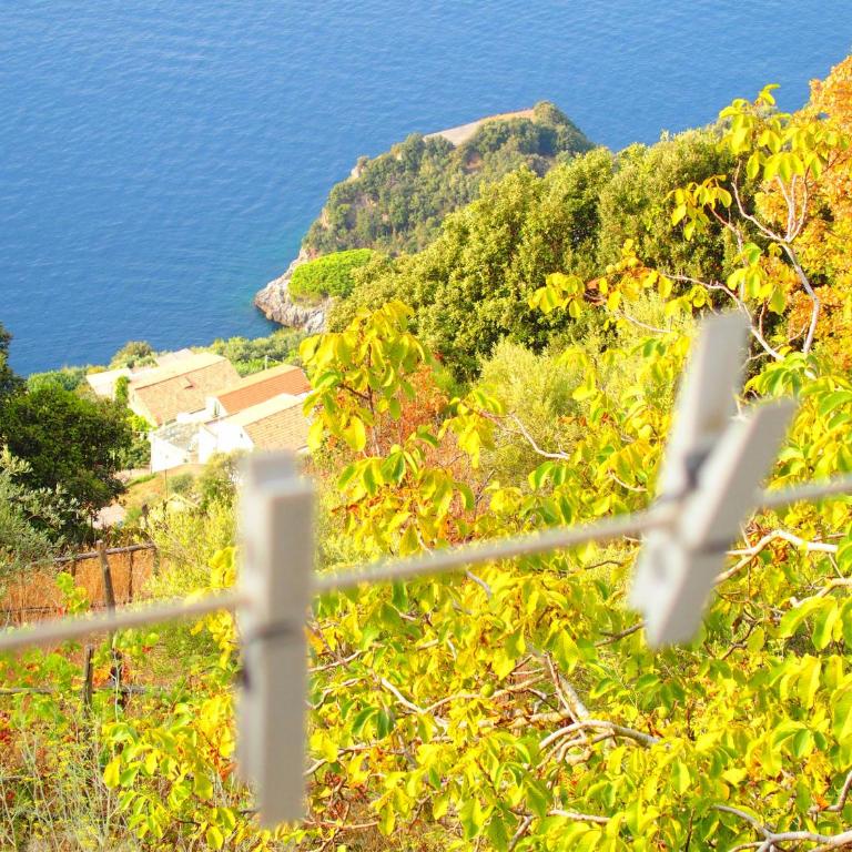 GIARDINO SUL MARE - Appartamento con 1 Camera da Letto - 20