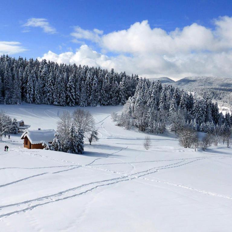 Studio Villard - Les Glovettes - Studio - 2