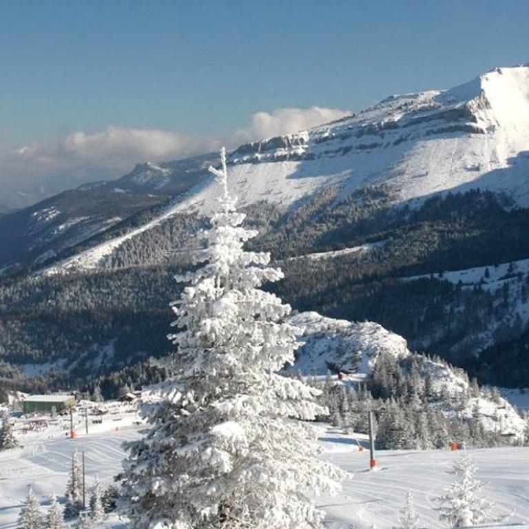 Studio Villard - Les Glovettes - Studio - 7
