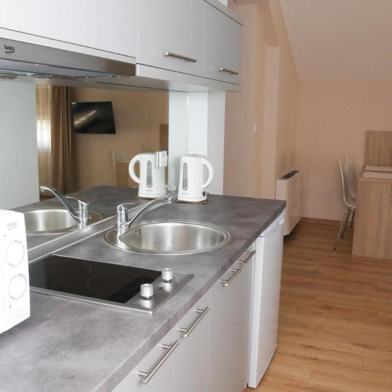 Hotel Logavina 8 Garage Parking - Apartman sa 1 Spavaćom Sobom - 9