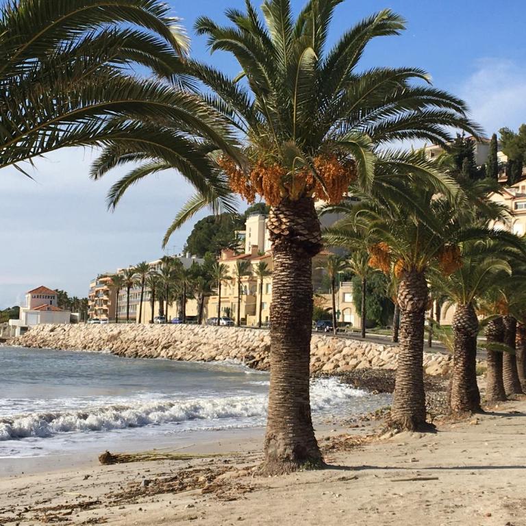 O FIL DE L'EAU BANDOL - App A05 - T3 avec Jardin et terrasse - Apartamento con vistas al mar - 38