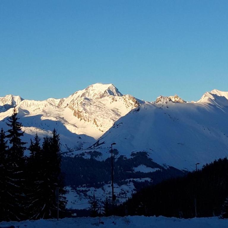 Bourg St Maurice les Arcs 1800 Les Lauzieres jolie vue, nature, espace, bien être, plaisir, paisible - Appartement 1 Chambre - 1