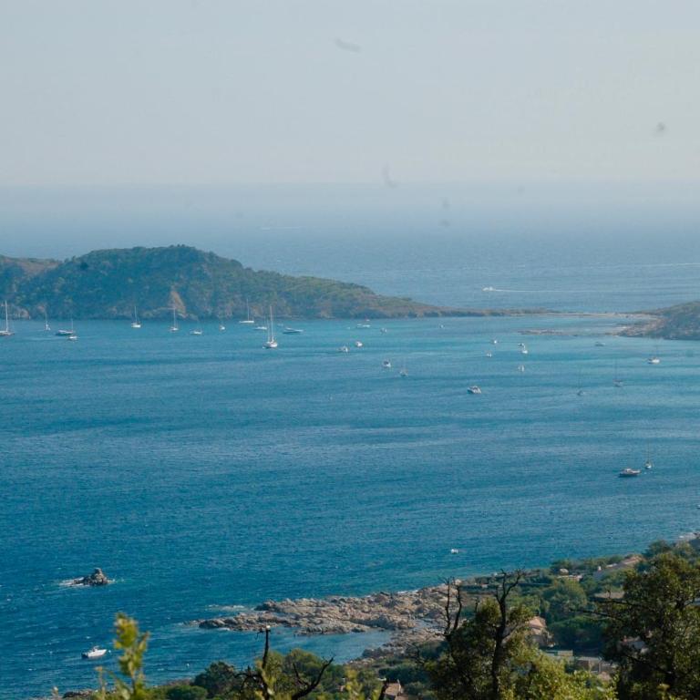 Ramatuelle, Pampelonne, villa - Villa - 51