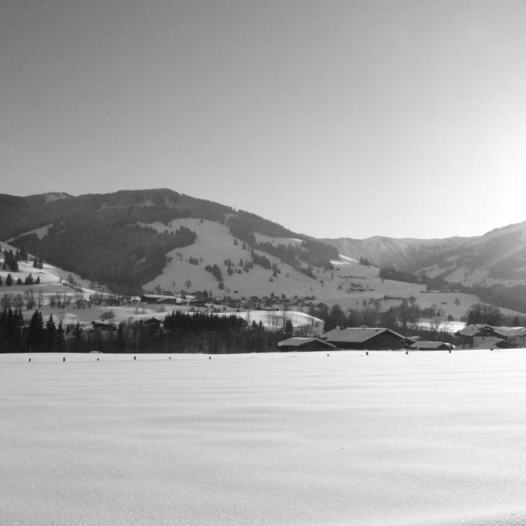 Appartment Scheiber - Appartamento con 2 Camere da Letto e Terrazza - 16