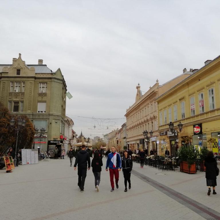 FilinHome Zmaj Jovina Suite - Deluks Apartman - 19