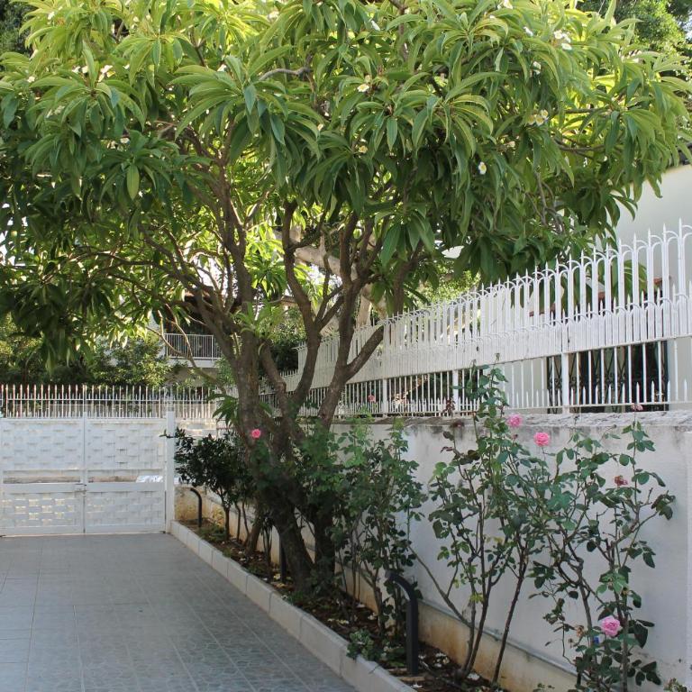 Casa Vacanza Peppino! - Vacation Home - 6