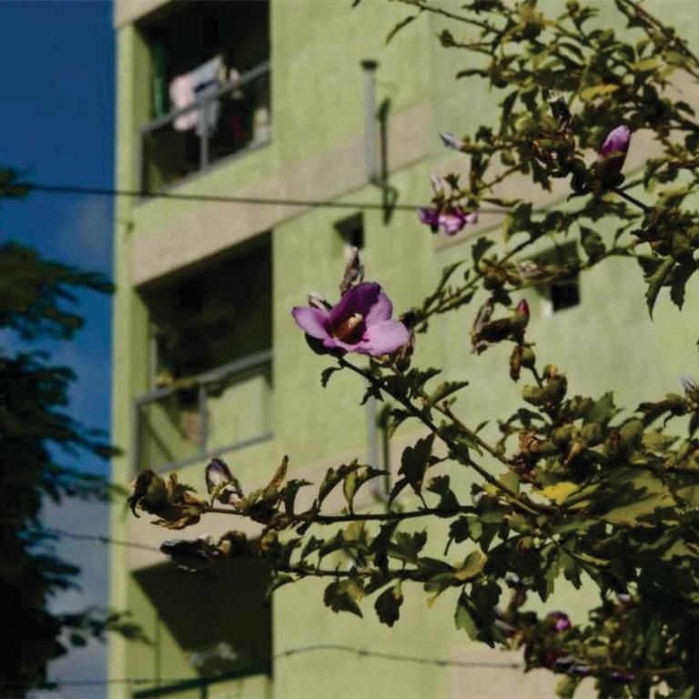 El Balcón 2 - Apartamento - 15