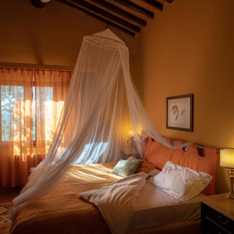 Torraccia di Chiusi Agriturismo Relais - Double Room - 6