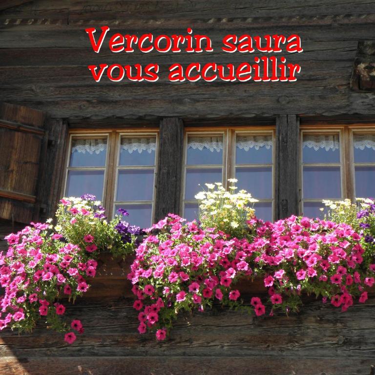 La Montagnette, VERCORIN - Apartment mit Balkon - 29