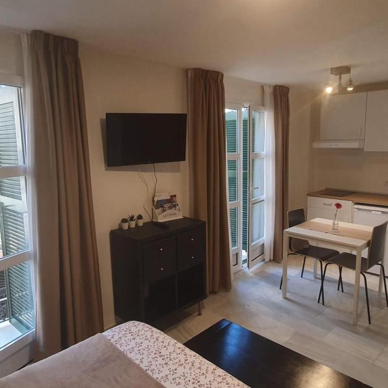 Fan Flat Carretería - Apartamento con balcón - 4