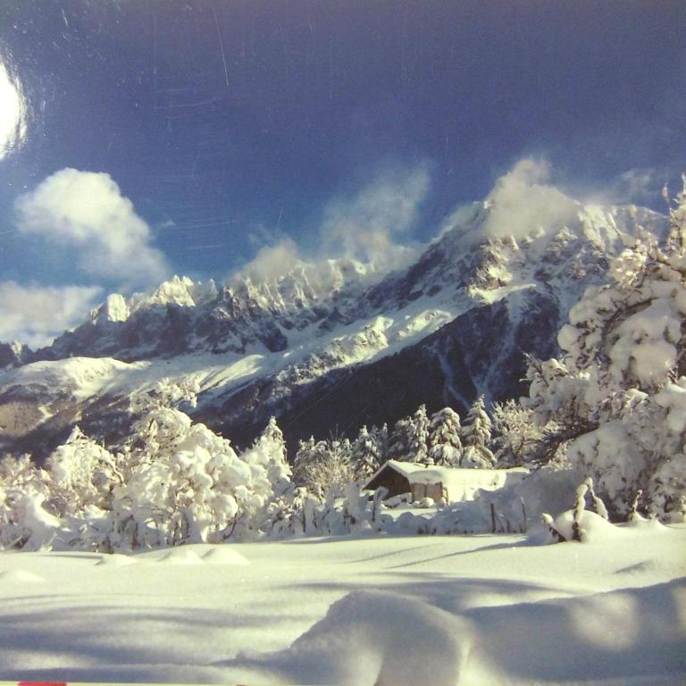 Chalet Le Marmouzet - Chalet 1 Chambre - 13