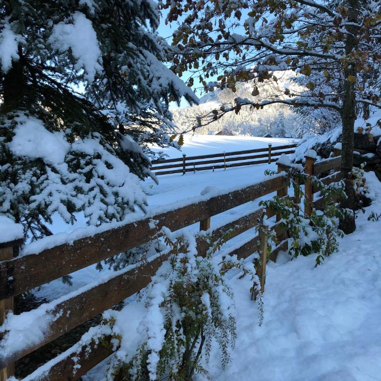 Ausseer Chalet (nahe Hallstatt), Ferienhaus - Chalet 4 Chambres - 19