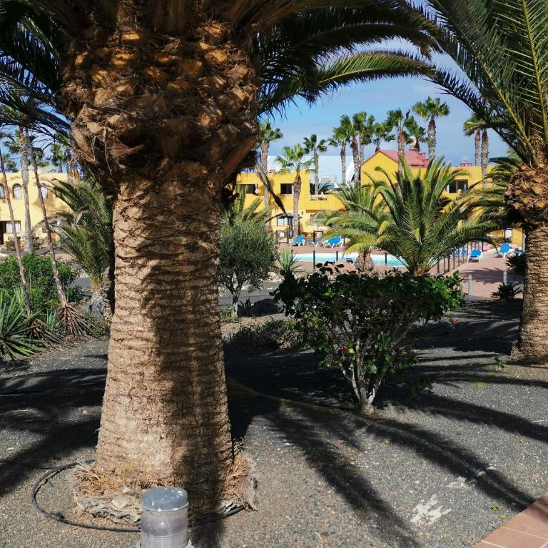 casa Sun&Sand Corralejo - Casa de 2 dormitorios - 1