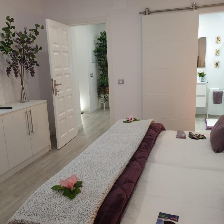 Plaza San Marcos CASCO HISTORICO con PARKING - Apartamento de 2 dormitorios - 17