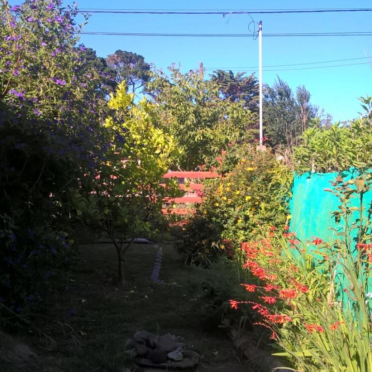 JARDIN y MAR - Casa - 32