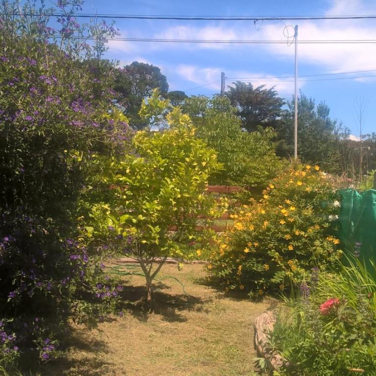 JARDIN y MAR - Casa - 29