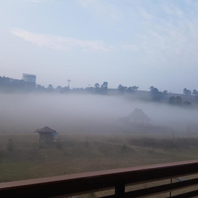 Apartment GEA 24 Zlatibor sa garažom - Apartman sa Pogledom na Planinu - 46