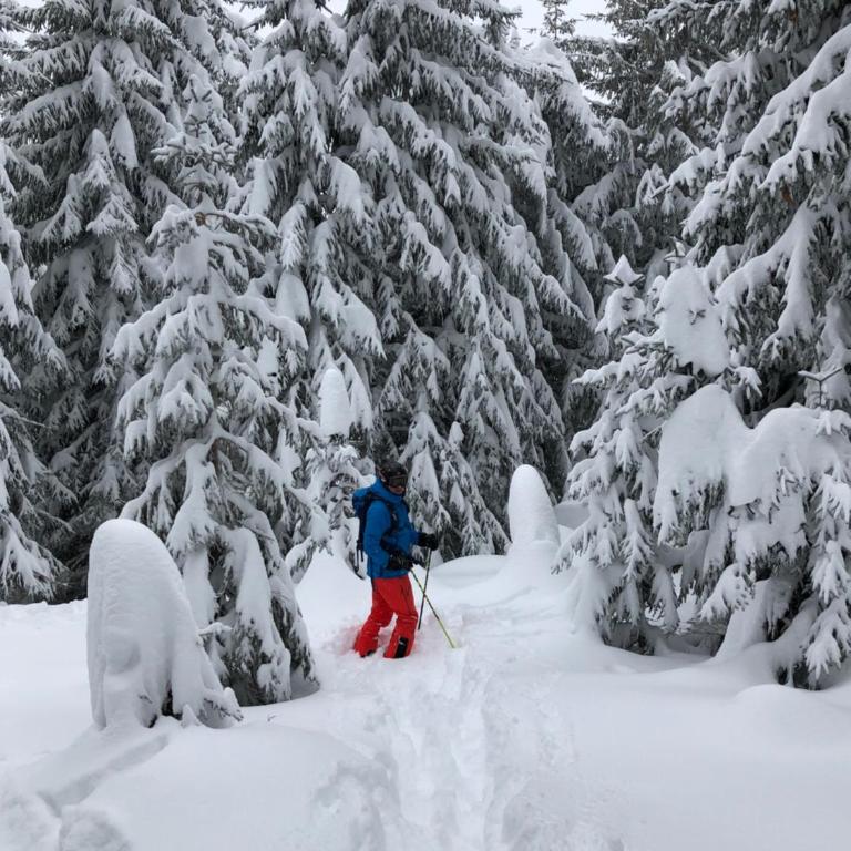 Avoriaz le M1212 - Appartement avec Vue sur la Montagne - 41