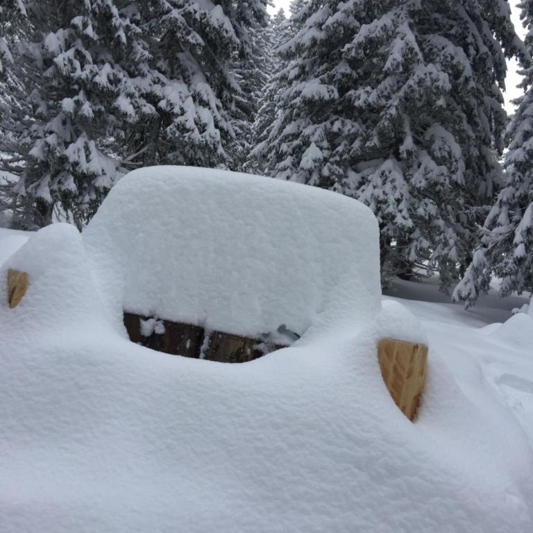 Avoriaz le M1212 - Appartement avec Vue sur la Montagne - 40