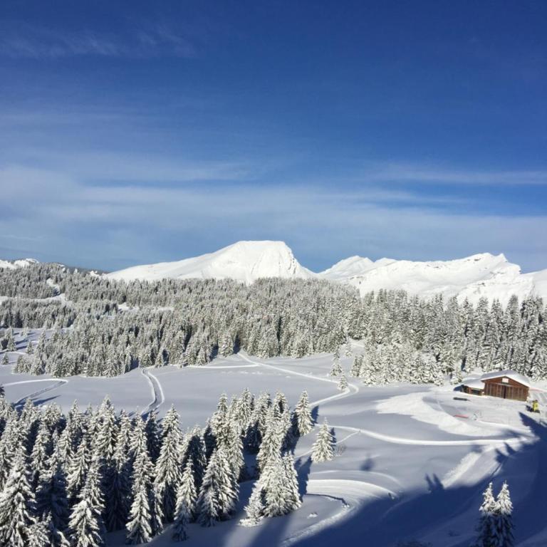 Avoriaz le M1212 - Appartement avec Vue sur la Montagne - 37