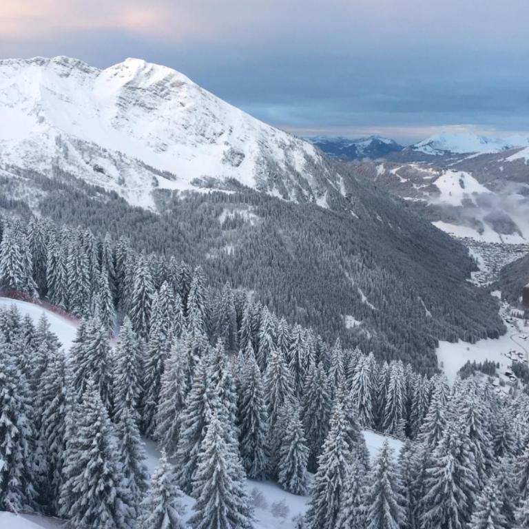 Avoriaz le M1212 - Appartement avec Vue sur la Montagne - 42