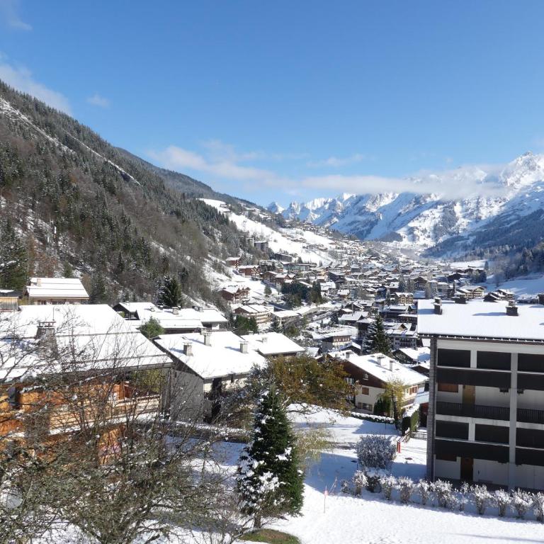 Sapaudia G - Appartement skis aux pieds, belle vue - Appartamento con Vista Montagna - 10